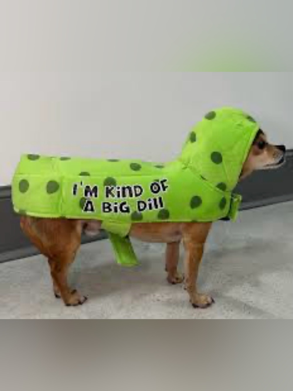 Bootique Petco Pickle Dog Costume Im Kind Of A Big Dill Halloween Green XS NWT